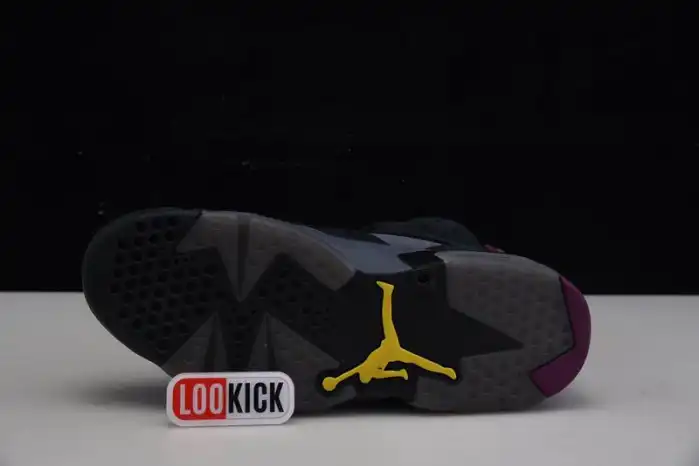 Kicked Out Shoe Store Air Jordan 6 