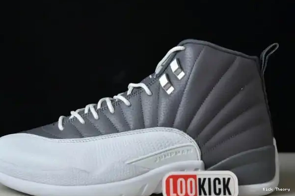 Kick Theory JORDAN STEALTH AIR 12 CT8025-610 0226