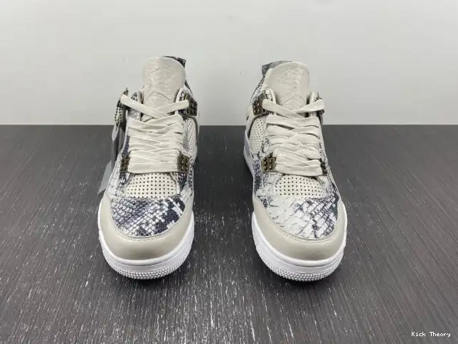 Kick Theory 4 819139-030 Retro Snakeskin Jordan 0210