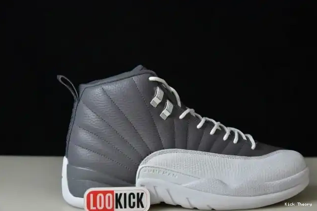 Kick Theory JORDAN STEALTH AIR 12 CT8025-610 0226