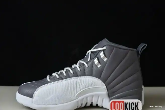 Kick Theory JORDAN STEALTH AIR 12 CT8025-610 0226