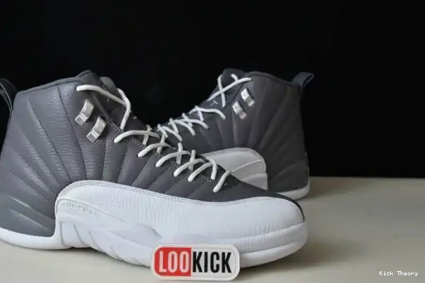 Kick Theory JORDAN STEALTH AIR 12 CT8025-610 0226