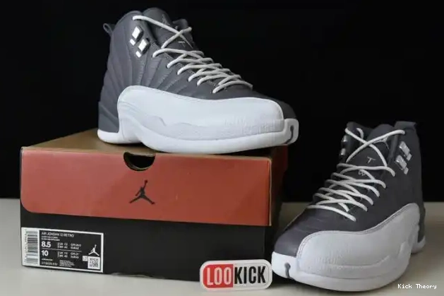 Kick Theory JORDAN STEALTH AIR 12 CT8025-610 0226